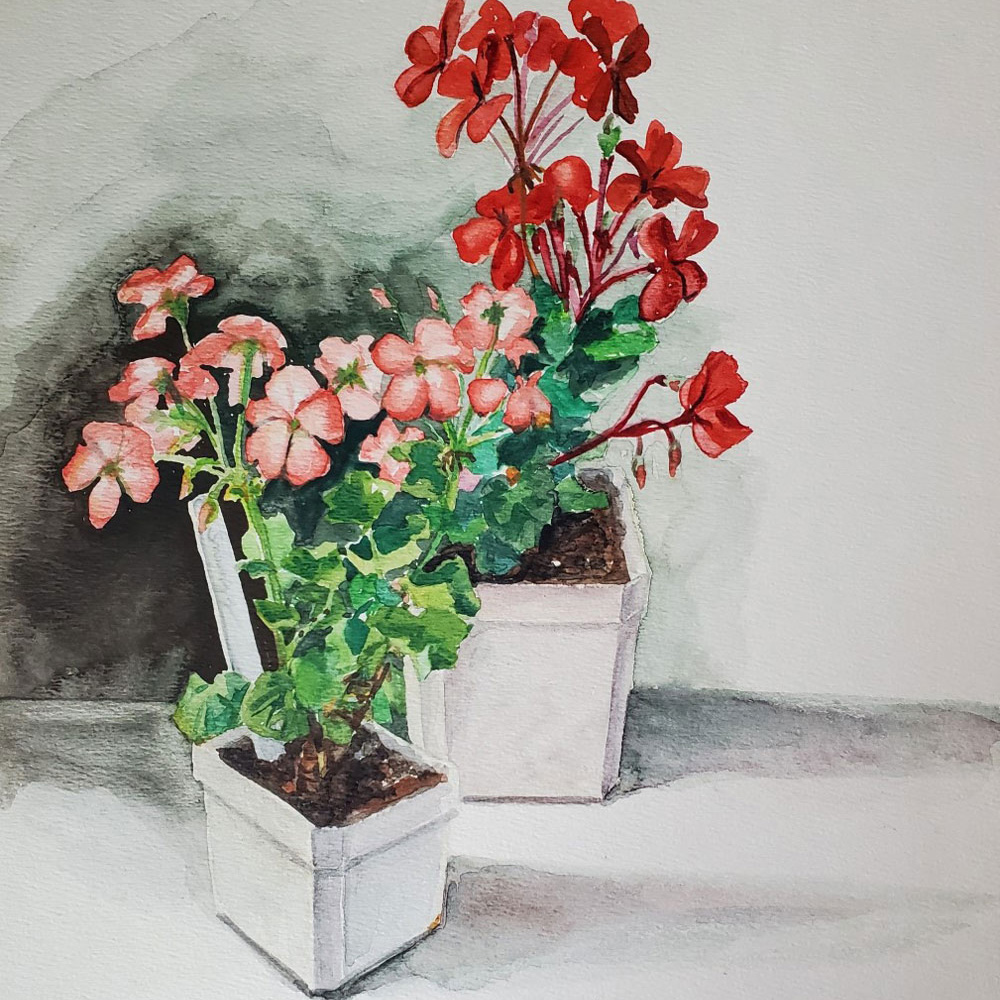 Pink Flowers by Madge Macfarlane