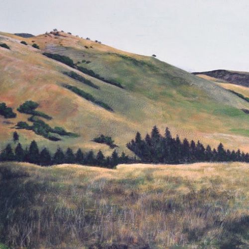 Wilderness Lost: Featuring Montana Landscapes by Richard Springer