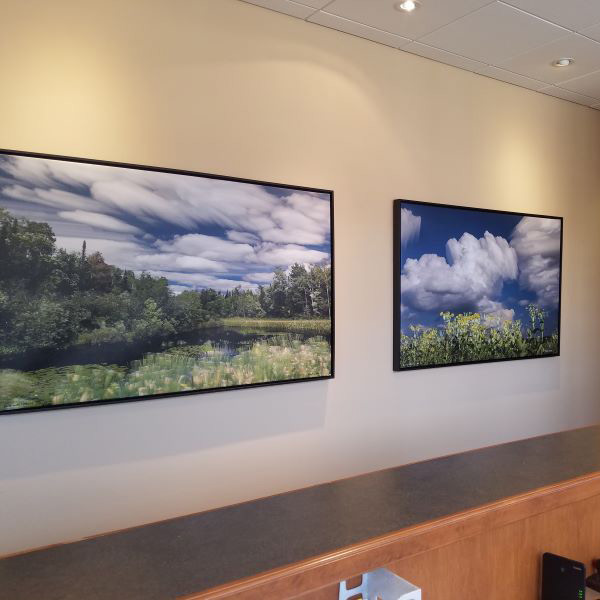 Two paintings hanging on a wall